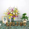 J'FLORU Artificial Spring Flowers 18 Pack Spring Floral Picks 17 Inch Flower Stems with Colorful Daisies and Forsythia for Spring Summer Easter Flower Arrangements Centerpieces